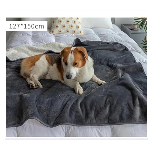 Tapis imperméable pour chat et chien idéal pour protéger le lit en automne - 8