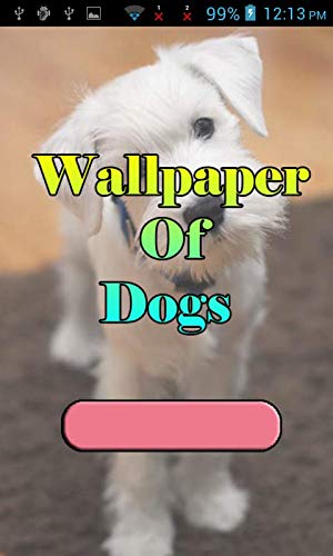 Wallpaper Of Dogs