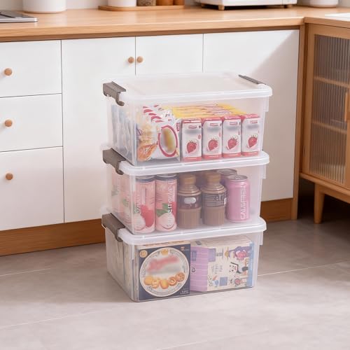 Image of Citylife 17 QT Clear Storage Bins with Lids 1 Pack Plastic Storage Bins
