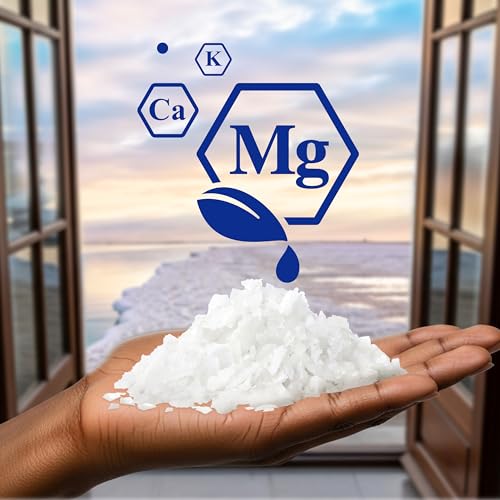 Ancient Oasis by Dr Teal's Magnesium Flakes, Fragrance Free, 2 lbs
