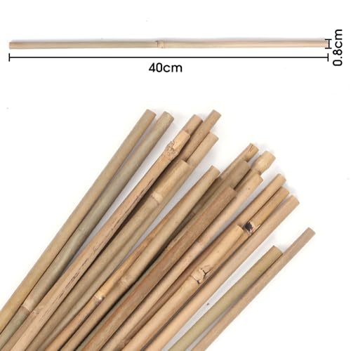 Guangye GYSS001 Natural Plant Bamboo Post Plant Support Garden Bamboo Stick, Guangye, 20 Suitable For Bean Tomato Pot Plants And Vegetables  thumb #6