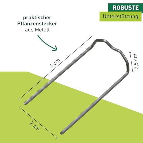 Windhager Pflanzenstecker für die Befestigung von Pflanzentrieben an Kokos-Pflanzstäben, 50 Stück, 06194, metallic