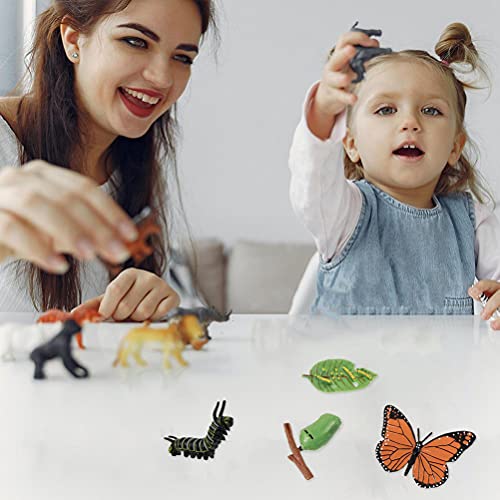 TOYANDONA 4 Conjuntos de Modelos de Ciclo de Vida de Borboletas Tartaruga Sapos Galo Animal Figurinh