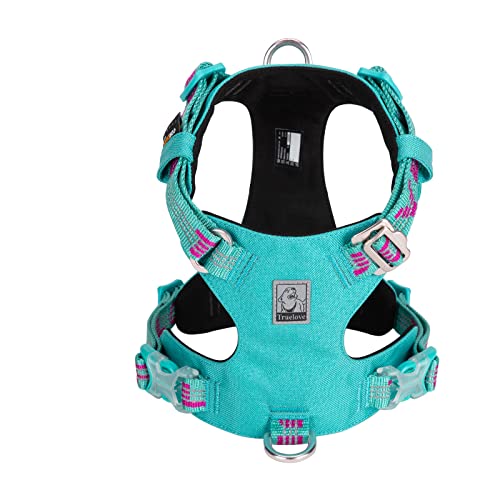 WINHYEPET True Love Harnais pour Chien en Tissu imperméable antidéflagrant Sangle en Nylon Haute densité Produit d'extérieur léger Convient aux Petits et Moyens Grands Chiens TLH6282(Bleu, S) Cover
