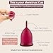 Reusable Menstrual Cup with Sterilizing Cup | Tampon, Pad, and Disc Alternative