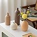 Modern Ceramic Vase Set, Neutral Colors, Decorative Vases for Home Shelf Decor, 4 Piece Collection (Coffee Mix Set 4)