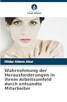 Wahrnehmung der Herausforderungen in ihrem Arbeitsumfeld durch entsandte Mitarbeiter 6208701511 Book Cover