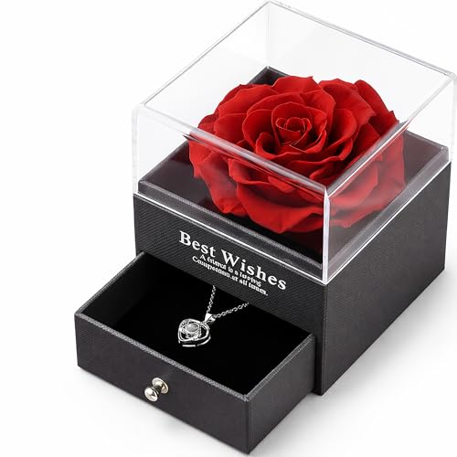 Image of Kidology Preserved Red Rose with Heart Necklace in Luxury Gift Box | Eternal Rose Romantic Gift for Girlfriend, Wife & Mom | Valentine, Birthday & Marriage Anniversary Keepsake for Women (1 Piece)
