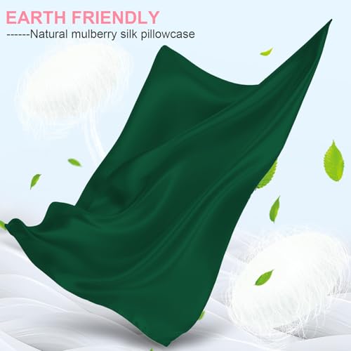 Mulberry Silk Pillow Cases 2 Pack Standard Size 20x26 Inches with Hidden Zipper, Ultra Smooth and Soft Breathable Cooling Silk Satin Pillowcase Set of 2, Better for Hair and Skin, Gifts for Women Men