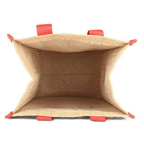 Image of DOUBLE R BAGS Laminated Jute Reusable Shopping Bags Kitchen Essentials Grocery Vegetable Lunch Carry Bag With Full Handles Multi-purpose Bag Stylish Designs (Red) Pack of 2