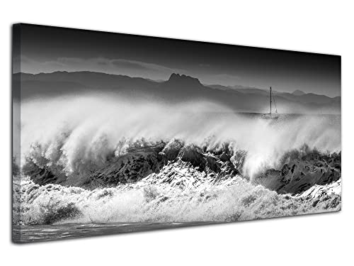 Tableau toile Landes 100x50 cm : paysage noir et blanc DECLINA