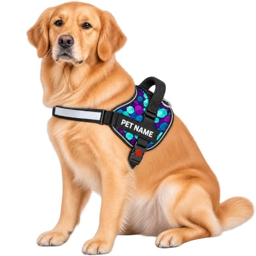 Image of Customized Dog Harness with Name | Personalized Dog Belt with Dog Name, No Pull Reflective Vest Harness | for 36-45 Kilograms Dogs (XL, Diamond)
