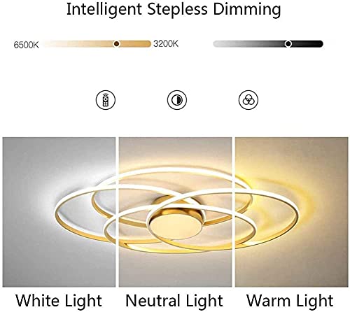 Lampe de salon à intensité variable plafonnier LED