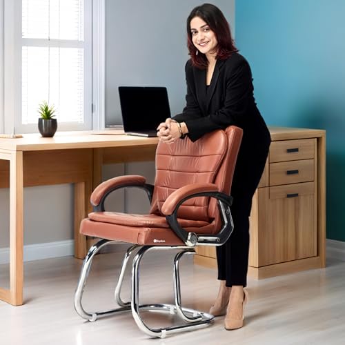 GOYALSON Deluxe Cushioned Chair Office Chair Home Relax Chair Study Chair with Chrome Steel Frame and Cushioned seat Back (1, Brown, Double Support... - Image 4