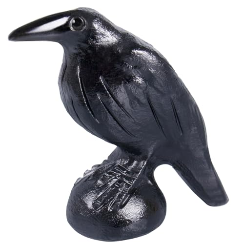 QLRSUXN Natural Black Obsidian Raven...