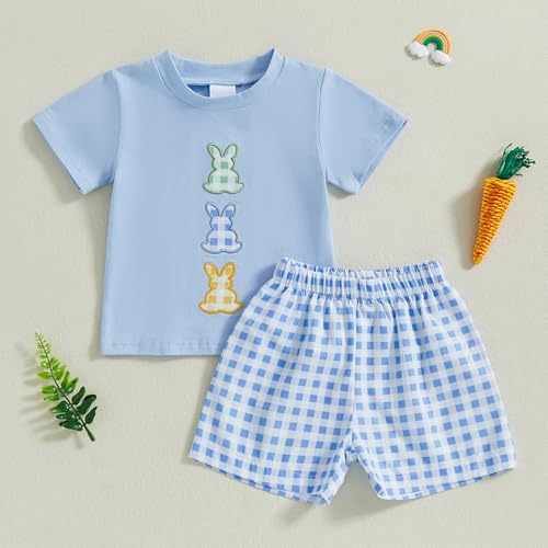 Image of Toddler Baby Boy Easter Rabbit Outfit Short Sleeve Bunny Carrot Smocked T-shirt Elastic Waist Shorts Summer Clothes