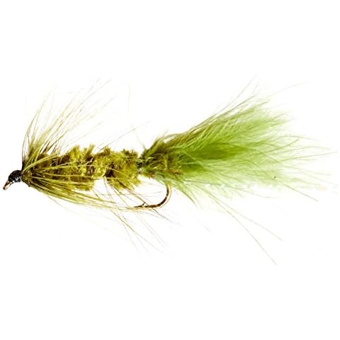 Flies Direct Wooly Bugger Olive Assortment 1 Dozen Trout Fishing Flies, Pack of 12 Cover