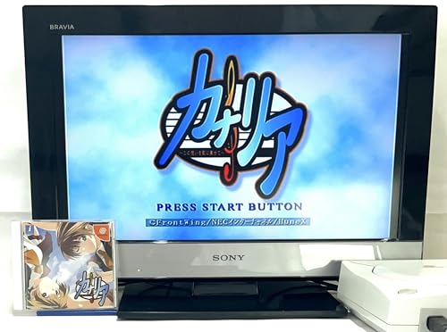 カナリア この想いを歌に乗せての関連画像4