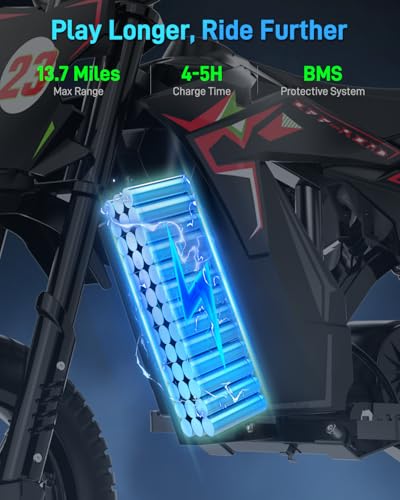 QWAYQ 36V Electric Dirt Bike