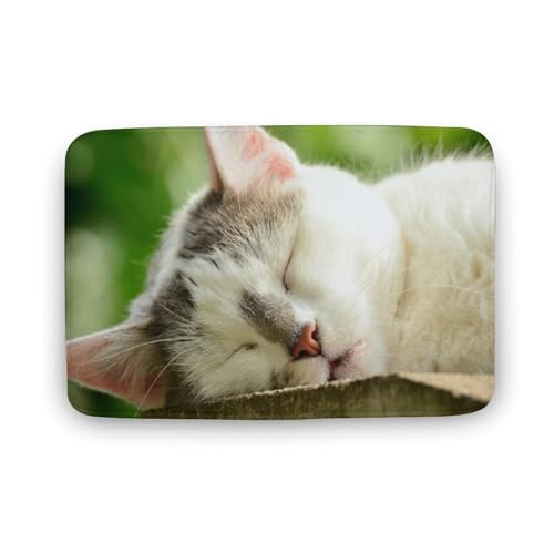 L   oX}bg \tg􂦂 z  փ}bg  O   傫 ~ Aj LN^[ @}bg   ʏ