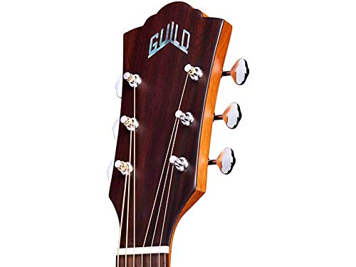 Guild D-240E LTD – guitare électro-acoustique - Les Beatles, Paul McCartney, John Lennon, RIngo Starr, George Harrison Guild D-240E LTD - guitare électro-acoustique – Image 8