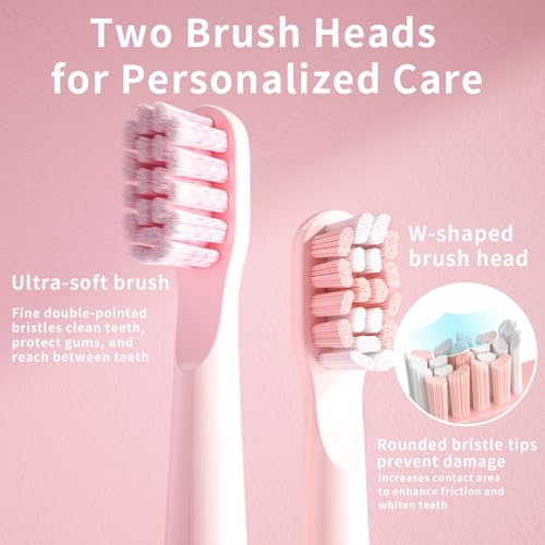 Image of Seago Electric Toothbrush, Rechargeable Electric Toothbrush with 2 Brush Heads, 40,000 VPM, 5 Cleaning Modes with Teeth Whitening, 30 Day Battery Life - Ideal for Adults and Children, SG-2303