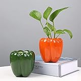 Este es un regalo que su familia y amigos realmente apreciarán. Un regalo de amor para los niños. La maceta pequeña se usa para cultivar algunas suculentas y flores para hacer que tu ambiente de vida sea más hermoso.