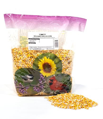 Shelled Corn 10 lb Whole Kernel Corn for Wildlife & Bird Seed
