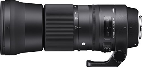 Sigma 150-600Mm 5-6.3 Contemporary Dg Os Hsm Lens For Nikon #TOP1