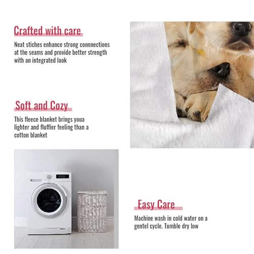 YISUMEI Decke 150x200 cm Kuscheldecken Sanft Flanell Weich Fleecedecke Bettüberwurf Golden Retriever Welpen