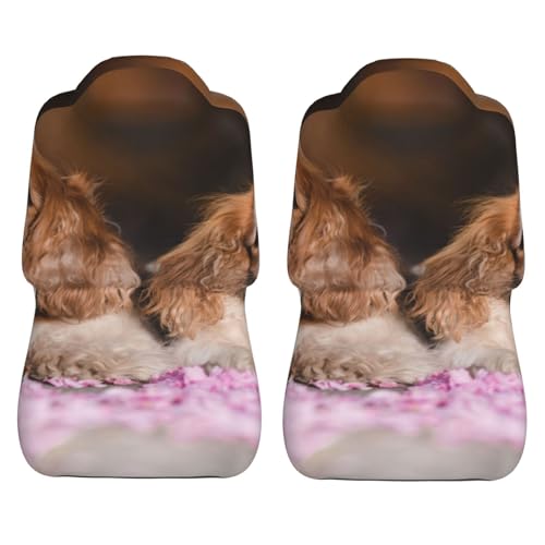 Funda universal para asiento de coche para perros Cavalier King Charles 5