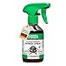 Produktbild RepellShield® Fliegenspray zur Fliegenabwehr -250ml- Schonendes Fruchtfliegen Spray ideal für Pflanzen, Kästen, Fenster - Innen- & Außenbereich - Deetfrei - Fliegenspray Wohnung & Fliegenfalle