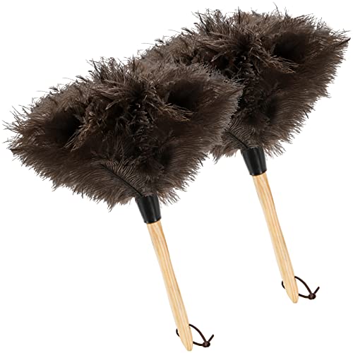 Coloch Feather Duster with Wood Handle