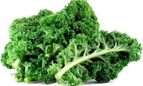 Seed Wala Brassica Leave Kale (Edible) Green Leaves, 40 Seeds Pack for home gardening | combo pack | SEEDFF-10 (B0BJ9L162T) Amazon Price History, Amazon Price Tracker