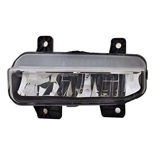 TYC Left Fog Light Assembly Compatible with 2019-2020 Dodge Ram 1500 Pickup