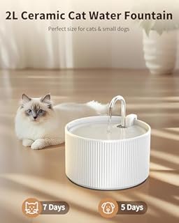 Fontana per gatti in ceramica, 2,2 l, fontana automatica per animali domestici, per gatti e cani di piccola taglia, ultra silenziosa, senza BPA, con filtro, facile da pulire