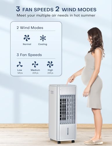 Image of 3-IN-1 Windowless Air Conditioner w /Double Tanks, Smart Timer, 3 Ice Packs, 60W Evaporative Air Cooler, 70 Oscillation, 3-Speed 25-INCH Swamp Cooler Air Conditioner Portable for Room, Gray
