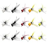 Sctmda 15 Stück Fliegenfischen Set Angeln Bass Pike Fliegen Döbel Fly Fisch Köder Zum Fliegenfischen Fliegen Kit Angeln Nymphs Forellenfliegen Forelle Sitzstange für Barsch Angelzubehör