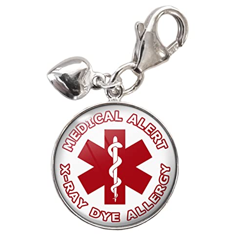Medical Alert X-Ray Dye Allergy .925 Sterling Silver Charm