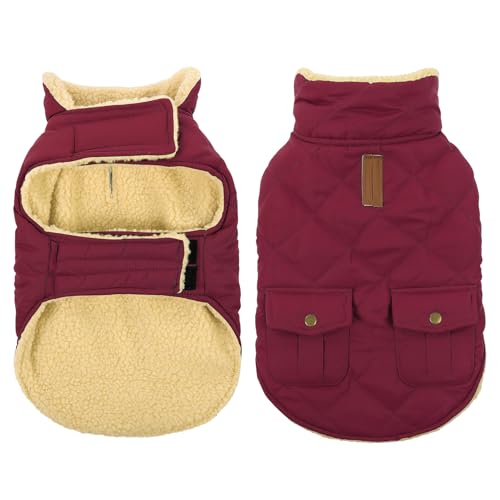 Queenmore manteau hiver chien imperméable doublure chaleur S