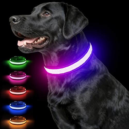 Multicolor Light Up Dog Collar, 5V Waterproof Led Dog