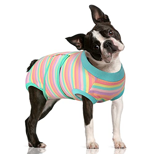 Image of FUAMEY Recovery Suit for Dogs After Surgery,Soft Breathable Dog Bodysuit E-Collar & Cone Alternative Surgical Suit,Male Female Dog Neuter Spay Suits Anti Licking Wounds Onesie Mint Green Stripes L