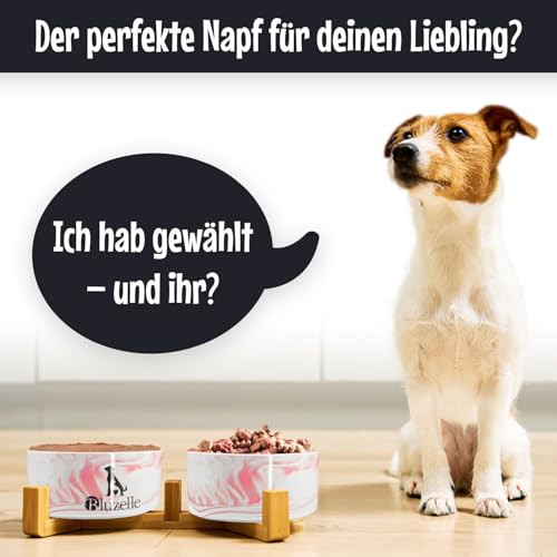 bluzelle Hundenapf Set Erhöht 2X 850ml – Keramik Napfstation 2in1 mit Bambus Holzgestell – Balance Bowl (XXL) – rutschfeste Futterbar für Hunde & Katzen – Marke aus Berlin, Farbe:Marmor Pink