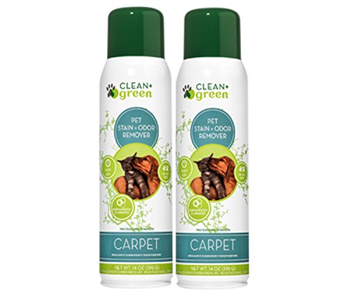 Pet Carpet Cleaner Spray and Odor Eliminator - Natural Stain Remover for Cat or Dog Messes - Professional Carpet Cleaners, Fabric Cleaner, Carpet Cleaner Solution (14oz, Unscented)