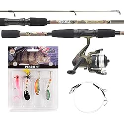 Caña Para Pescar Calamares Mitchell Juego de Pesca de Camuflaje Tanager Compuesto por una caña y Carrete con Cuerda y Cebo para Pesca en Lucio, lucioperca y Perca, 2,12 m 7/20 g