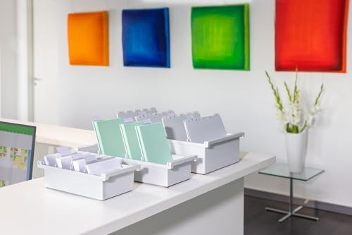 HAN Karteitrog DIN A5 hochformat, modernes Design für 1.300 Karten, inklusive 2 Stützplatten mit Sichtreitern, 955-0-1-11, lichtgrau