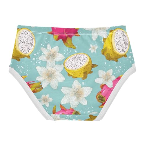 Wusikd Dragon Fruit Flowers Girls' Underwear Cotton Girls Briefs Soft Toddler Underwear 2T2