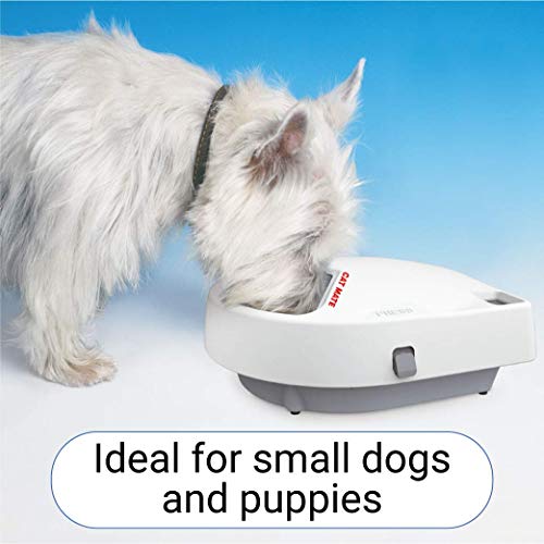 automatic dog bowl