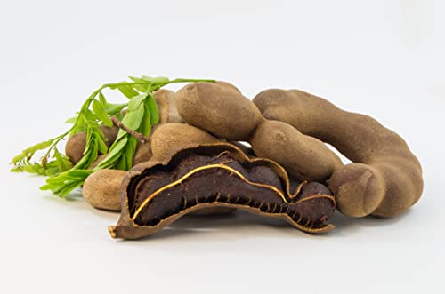 Whole Tamarind Pods, Tamarind All Natural, Tamarindo 1 Lb