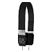 B&O PLAY by Bang & Olufsen Beoplay Form 2i On-Ear Headphone (Black)